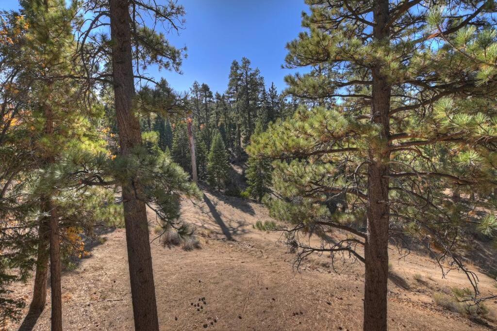 Everwood Serenity Treehouse Ontrail Head/Sledding Villa Big Bear Lake Exteriör bild